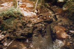 Excavation 1989: View of site looking SE, showing wheelpit