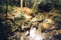 Excavation 1989: View of site looking SE, showing wheelpit